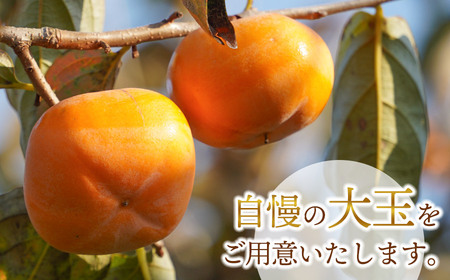 【令和8年産先行予約】にこにこふぁーむのあまーい庄内柿　大玉ピカピカ特選　2L×6個（化粧箱入り）　糖度16度以上　K-843