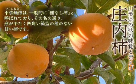 【令和8年産先行予約】家庭用庄内柿 たねなし柿 平核無柿 脱渋済み 約3kg(18~23玉) 山形県鶴岡市 重ちゃん農園