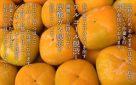 【令和8年産先行予約】家庭用庄内柿 たねなし柿 平核無柿 脱渋済み 約3kg(18~23玉) 山形県鶴岡市 重ちゃん農園