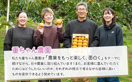 【令和8年産先行予約】家庭用庄内柿 たねなし柿 平核無柿 脱渋済み 約3kg(18~23玉) 山形県鶴岡市 重ちゃん農園