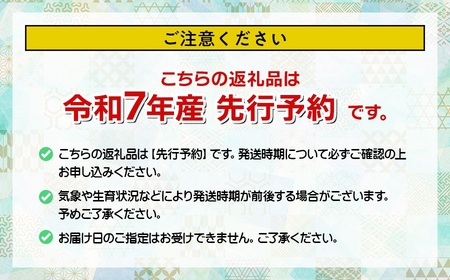 【令和7年産先行予約】 鶴岡市産 シャインマスカット(やや小粒) 約2kg(4～7房) 佐藤農園