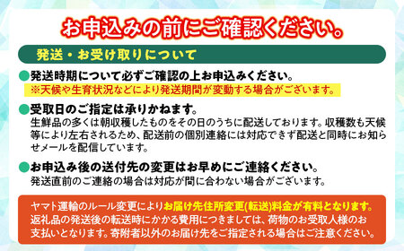 【令和6年産】 葉とらずりんご　約3kg（6～8玉） 山形県鶴岡市産　株式会社 元青果