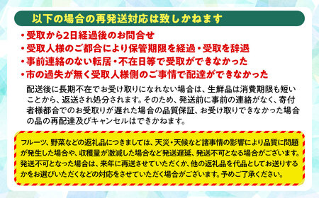 【令和6年産】 葉とらずりんご　約3kg（6～8玉） 山形県鶴岡市産　株式会社 元青果