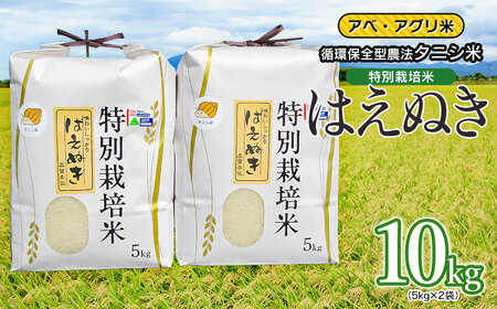 【令和7年産】特別栽培米 はえぬき（タニシ米）精米10kg（5kg×2袋）　山形県鶴岡産　アベ・アグリ米