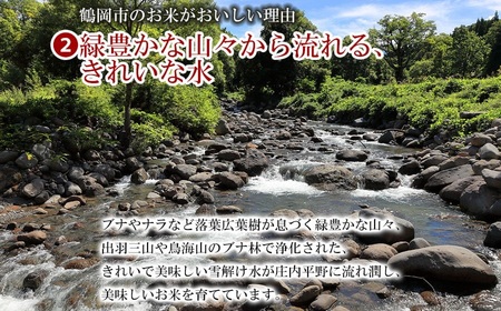 【令和6年産】はえぬき 精米 5kg×2袋 計10kg 山形県 庄内産　米食味鑑定士お薦め 