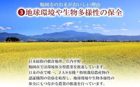 【令和6年産】はえぬき 精米 5kg×2袋 計10kg 山形県 庄内産　米食味鑑定士お薦め 