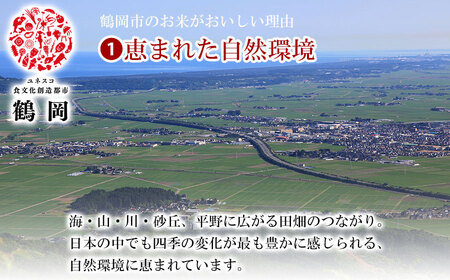 【特別企画】【令和6年産】鶴岡市の特別栽培米 つや姫 精米 5kg×1袋 山形県 庄内産　米食味鑑定士お薦め