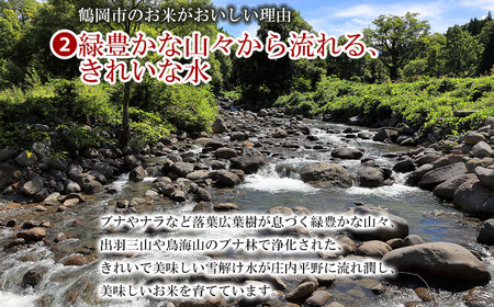 【特別企画】【令和6年産】鶴岡市の特別栽培米 つや姫 精米 5kg×1袋 山形県 庄内産　米食味鑑定士お薦め