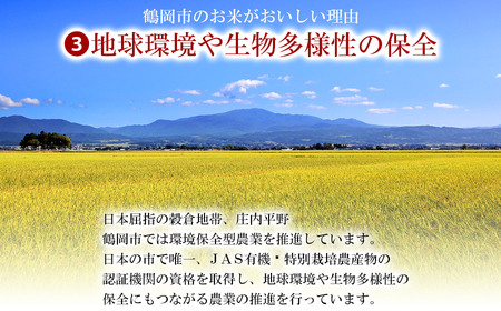 【特別企画】【令和6年産】鶴岡市の特別栽培米 つや姫 精米 5kg×1袋 山形県 庄内産　米食味鑑定士お薦め