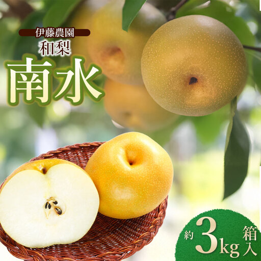 【令和8年産先行予約】 南水(和梨)  約3kg 箱入り (7～9個入り) 山形県鶴岡市　伊藤農園