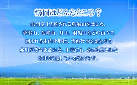 【令和6年産】 特別栽培米 雪若丸　精米 10kg (5kg×2袋)　山形県鶴岡産　鶴岡協同ファーム