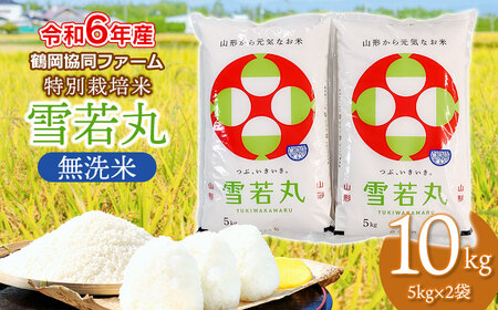 【令和6年産】 特別栽培米 雪若丸　無洗米 10kg (5kg×2袋)　山形県鶴岡産　鶴岡協同ファーム