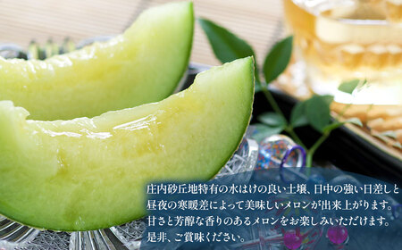 【令和8年産先行予約】泉屋商店の庄内砂丘アンデスメロン 2玉　K-822