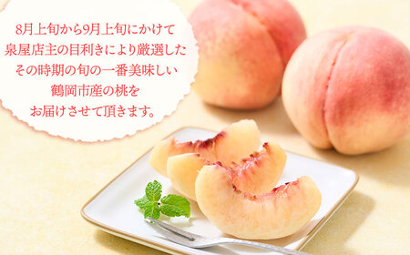 【令和8年産先行予約】鶴岡市産 桃（品種おまかせ）あかつき・まどか・ゆうぞら・川中島・おどろきの中から1種 約5kg（15～18玉）　K-855　泉屋商店