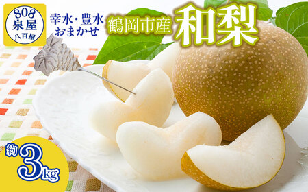 【令和8年産先行予約】鶴岡市産 和梨（品種おまかせ）幸水・豊水のどちらか1種 約3kg　K-823　泉屋商店