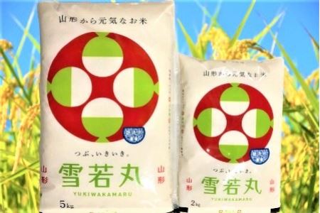 A01-054 山形県鶴岡産 特別栽培米 雪若丸 無洗米 7kg
