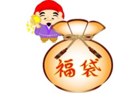 A01-590 老舗和菓子屋「とちもち本舗 大福城」の凍眠 福袋