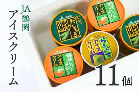 A01-701 鶴岡アイスクリーム11個セット
