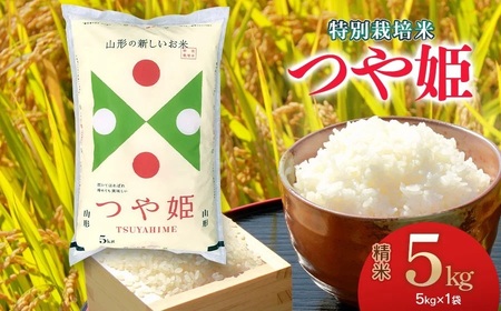 【令和7年産】 特別栽培米 つや姫 精米5kg 山形県 庄内産　米食味鑑定士お薦め