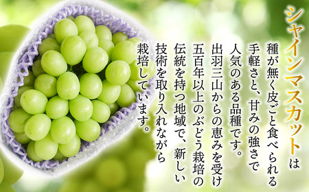 【令和8年産先行予約】シャインマスカット 約700g 丸果庄内青果 【令和8年産先行予約】シャインマスカット 約700g 丸果庄内青果