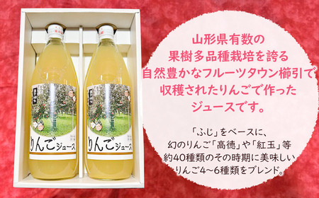 100％果汁 りんごジュース1L×2本入　インフィニファーム　K-624