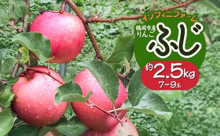 【令和8年産先行予約】鶴岡市産りんご ふじ 約2.5kg（7～9玉）　インフィニファーム　K-828