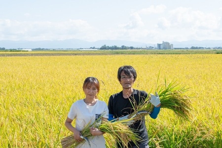 【令和7年産先行予約】殿やの「つや姫 ”極” 無洗米」2合 (約300g)×12個入　山形県鶴岡市産　K-766
