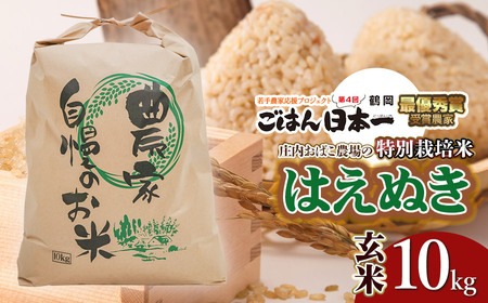 【令和7年産米 先行予約】庄内おばこ農場の特別栽培米 はえぬき【玄米】10kg（10kg×1袋）　K-784