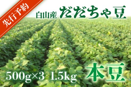 A01-644 【令和3年分先行予約】鶴岡特産 白山産だだちゃ豆(白山) 2kg(500g×4袋) 枝豆