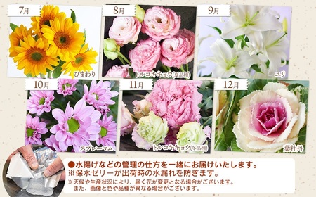 鶴岡産切花の定期便12ヶ月　Aコース　花蔵（HANAZO）　K-722