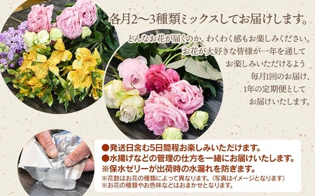 何が届くかお楽しみ★【12ヶ月定期便】鶴岡産切花ミックスセット Bコース 12回　花蔵（HANAZO）　K-756