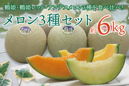A81-001 【令和4年分先行予約】庄内砂丘メロン3種セット(5~6玉)