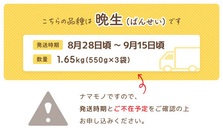 【令和7年産先行予約】【数量限定】鶴岡市市制施行20周年記念！だだちゃ豆(晩生)　 1.65kg (550g×3袋) 【市制施行20周年記念返礼品】 だだちゃ喜左衛門株式会社