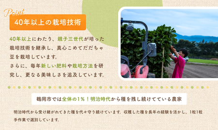 【令和7年産先行予約】【数量限定】鶴岡市市制施行20周年記念！だだちゃ豆(晩生)　 1.65kg (550g×3袋) 【市制施行20周年記念返礼品】 だだちゃ喜左衛門株式会社