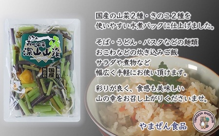 国産山菜ミックスセット(100g × 8パック) 【市制施行20周年記念返礼品】 やまぜん食品 K-730
