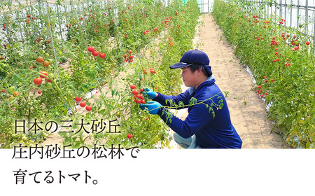 窪畑のトマトジュース　500ml ×2本セット　ギフト箱入り　【市制施行20周年記念返礼品】　株式会社山本組　K-750