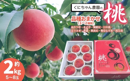 【令和8年産先行予約】 鶴岡市産 桃 (品種おまかせ) 　約2kg　(5～8玉)　くにちゃん農園　K-836
