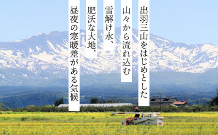 【冷凍】だだちゃ豆おむすび１０個 (プレミアム雪若丸精米使用） 冷凍おにぎり