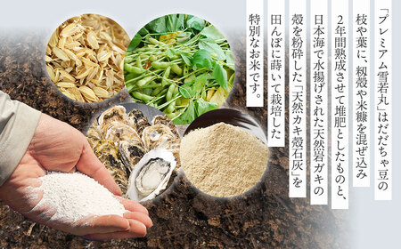 【冷凍】だだちゃ豆おむすび１０個 (プレミアム雪若丸精米使用） 冷凍おにぎり