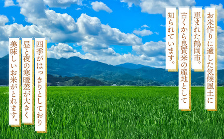 【令和8年産先行予約】 はえぬき　玄米（庄内米）　30kg×1袋　農家 長四郎