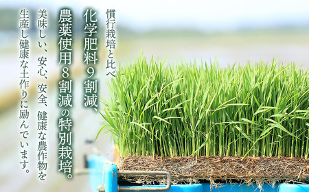 【令和7年産】【新米】特別栽培米 つや姫 【玄米】 1kg　山形県鶴岡市産　出羽弥兵衛