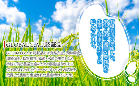 【令和7年産】【新米】有機栽培米 つや姫 【玄米】 2kg　山形県鶴岡市産　出羽弥兵衛