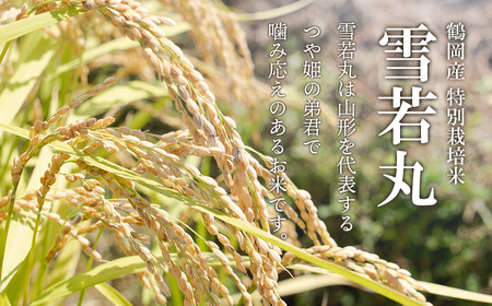 【令和7年産】 黒川まるいし農場の特別栽培米 雪若丸 2kg　山形県鶴岡市産　K-721