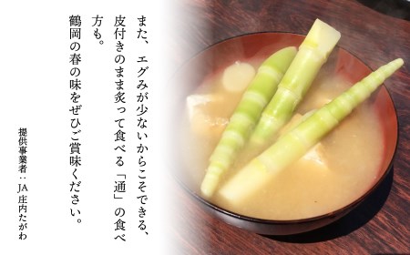 【令和8年産 先行予約】 月山筍 1kg　山形県鶴岡市産 JA庄内たがわ K-830