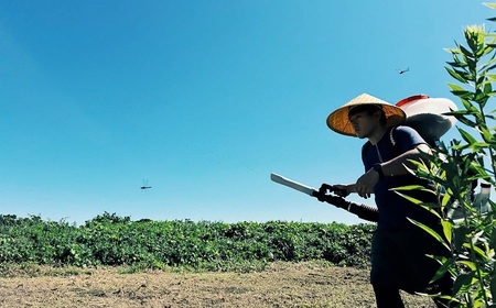 【令和7年産】　庄内おばこ農場の特別栽培米 つや姫 玄米 10kg (10kg×1袋)　K-7102