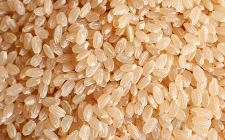 【令和8年産先行予約】特別栽培米つや姫 玄米 30kg(30kg×1袋)　山形県鶴岡市 佐藤農園