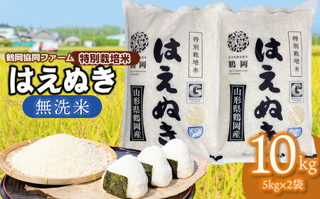 山形県産はえぬき 5kg×2袋 特別栽培米 特A