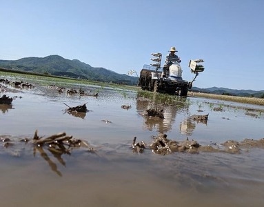 【令和7年産】「神農家」が作った特別栽培米 つや姫 無洗米 10kg(5kg×2袋) 　[K-7102]