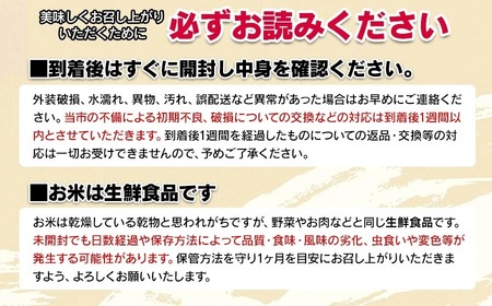 【令和7年産】 ばんどう農園の特別栽培米つや姫 白米10kg　山形県鶴岡市産　K-777
