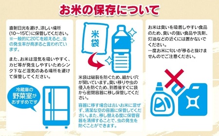 【令和7年産】 ばんどう農園の特別栽培米つや姫 白米10kg　山形県鶴岡市産　K-777